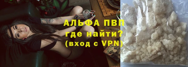 прущие грибы Алзамай