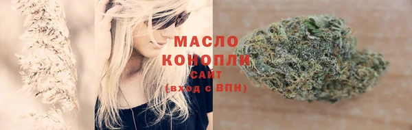прущие грибы Алзамай