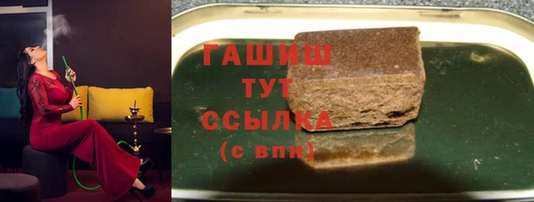 прущие грибы Алзамай