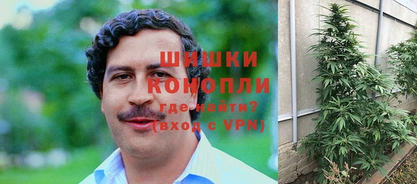 прущие грибы Алзамай