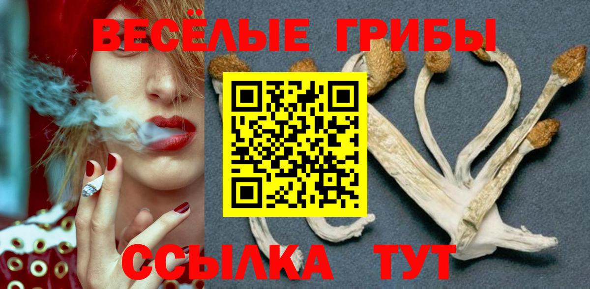 Галлюциногенные грибы Psilocybine cubensis Барнаул