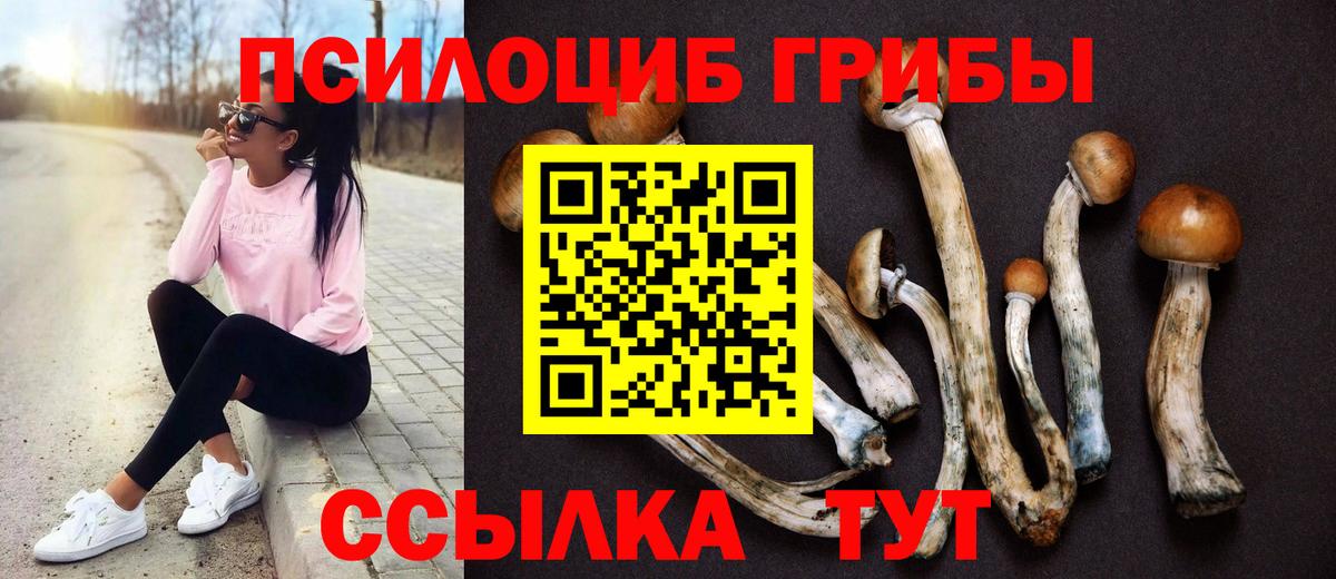 Псилоцибиновые грибы прущие грибы  Галлюциногенные грибы Magic Shrooms  Вход с VPN  Барнаул 