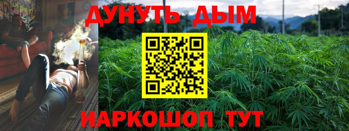 Бошки марихуана семена  Каннабис AK-47  Вход с VPN  Барнаул 